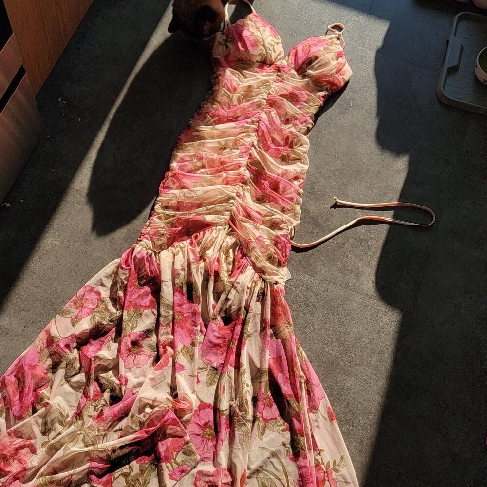 Katia Rae pink floral mesh ruched dress